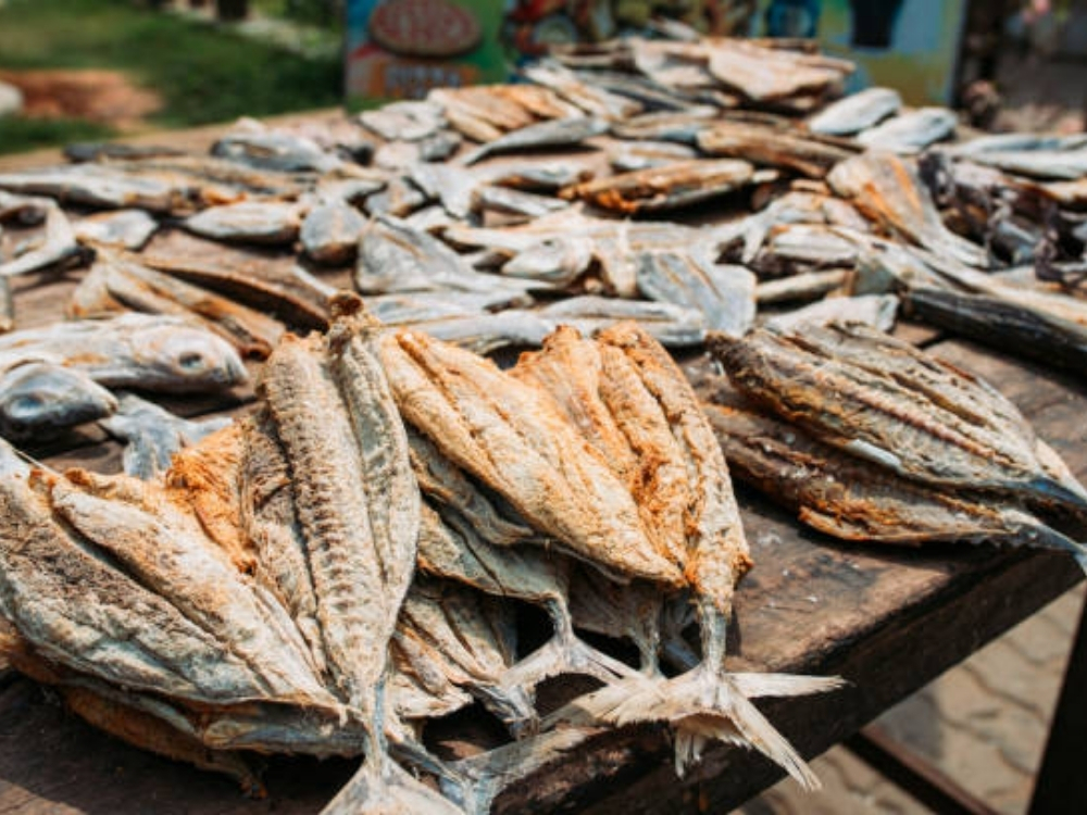 Ăn cá khô có tốt không?